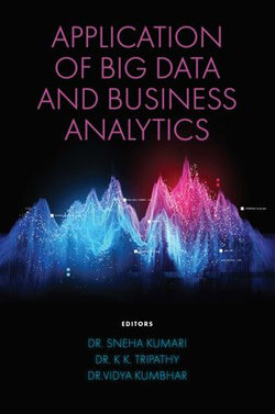 Application of Big Data and Business Analytics