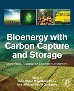 Bioenergy with Carbon Capture and Storage