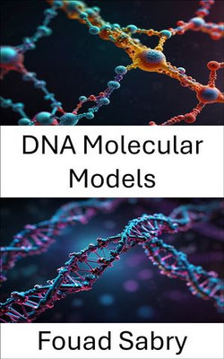 DNA Molecular Models