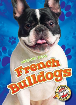 French Bulldogs