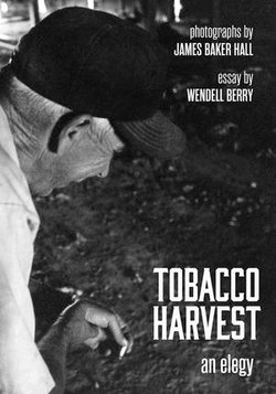 Tobacco Harvest