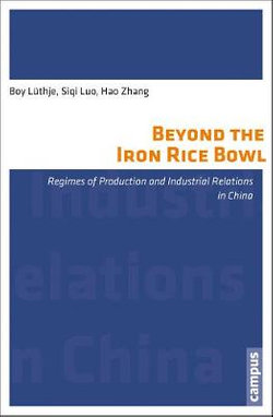 Beyond the Iron Rice Bowl