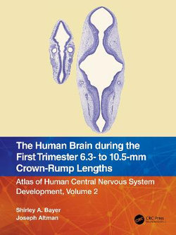 The Human Brain during the First Trimester 6.3- to 10.5-mm Crown-Rump Lengths