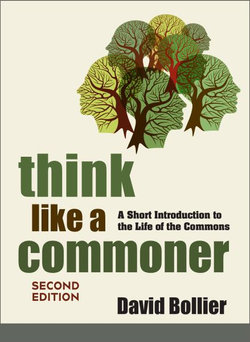 Think Like a Commoner, Second Edition