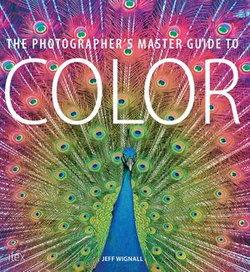 The Photographer's Master Guide to Colour