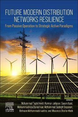 Future Modern Distribution Networks Resilience