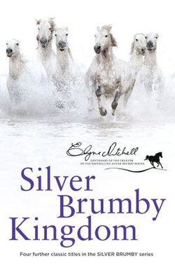 Silver Brumby Kingdom