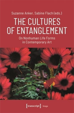 The Cultures of Entanglement