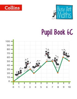 Pupil Book 6C (Busy Ant Maths)