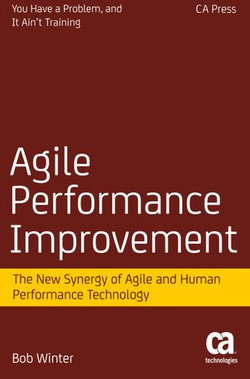 Agile Performance Improvement