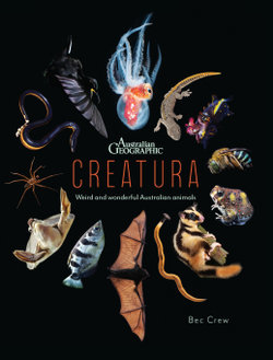 Creatura