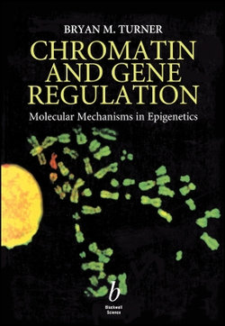 Chromatin and Gene Regulation