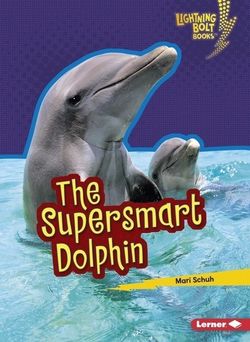 The Supersmart Dolphin