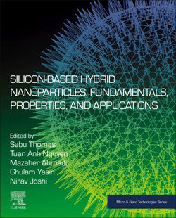 Silicon-Based Hybrid Nanoparticles