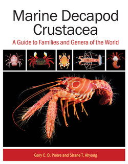 Marine Decapod Crustacea