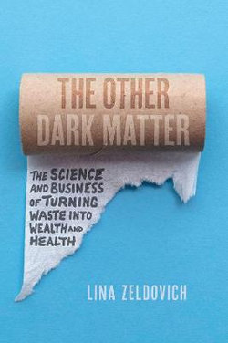 The Other Dark Matter