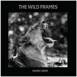 THE WILD FRAMES