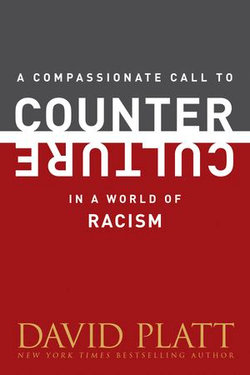 A Compassionate Call to Counter Culture in a World of Racism