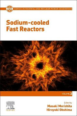 Sodium-Cooled Fast Reactors