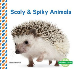 Scaly & Spiky Animals