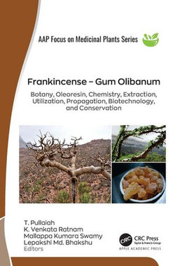 Frankincense – Gum Olibanum