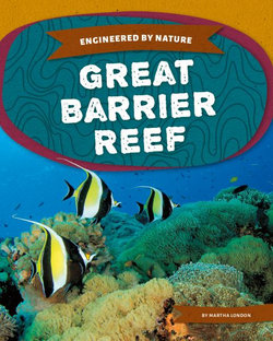 Great Barrier Reef