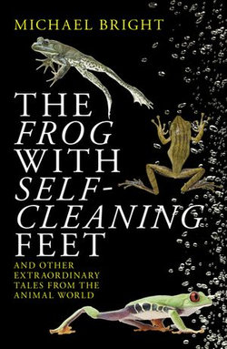 The Frog with Self-Cleaning Feet