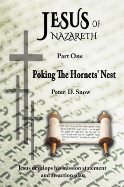 Jesus of Nazareth: Poking the Hornets' Nest