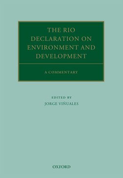 The Rio Declaration on Environment and Development