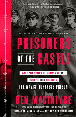 Prisoners of the Castle