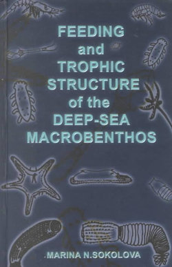 Feeding and Trophic Structure of the Deep-Sea Macrobenthos