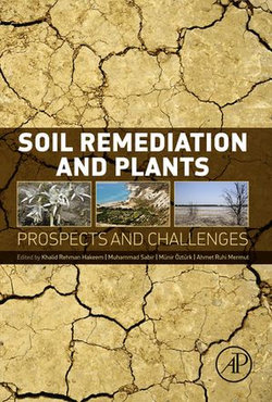 Soil Remediation and Plants