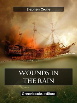 Wounds in the Rain