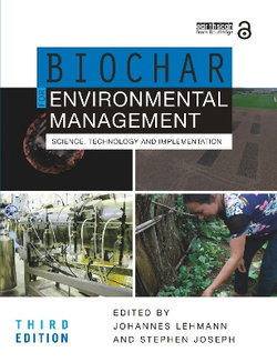 Biochar for Environmental Management