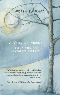 A Year of Moons