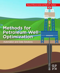 Methods for Petroleum Well Optimization