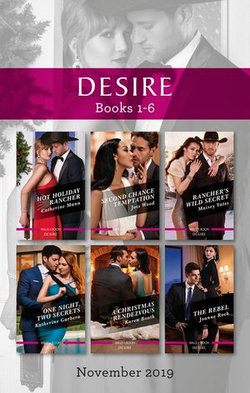 Desire Box Set 1-6/Hot Holiday Rancher/Second Chance Temptation/Rancher's Wild Secret/One Night, Two Secrets/A Christmas Ren