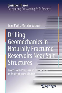 Drilling Geomechanics in Naturally Fractured Reservoirs Near Salt Structures