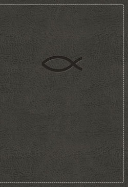 NKJV, Thinline Bible Youth Edition, Leathersoft, Gray, Red Letter, Comfort Print