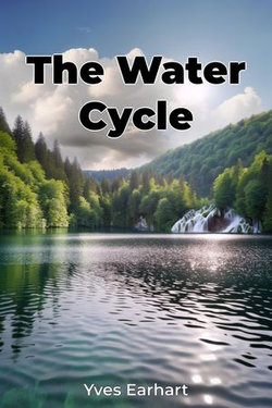 The Water Cycle