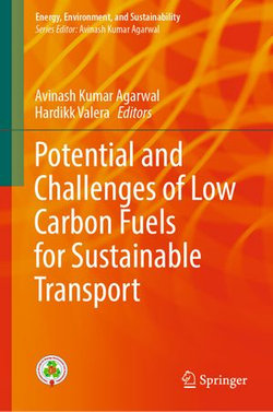 Potential and Challenges of Low Carbon Fuels for Sustainable Transport