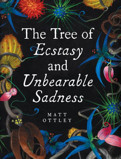 The Tree of Ecstasy and Unbearable Sadness