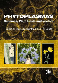 Phytoplasmas