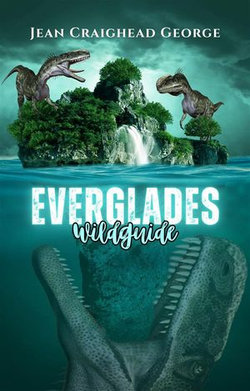 Everglades Wildguide