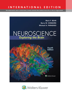 Neuroscience: International Edition