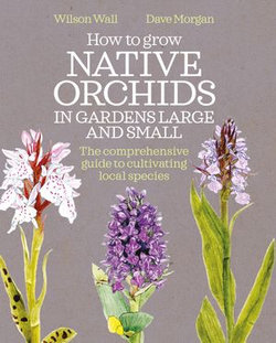 How to Grow Native Orchids in Gardens Large and Small