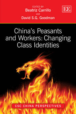 China's Peasants and Workers: Changing Class Identities