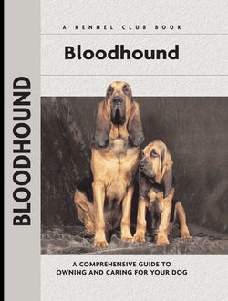 Bloodhound