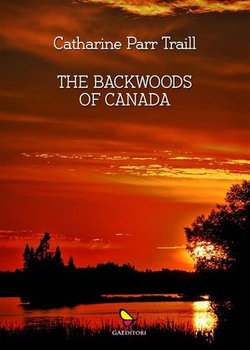 The backwoods of Canada