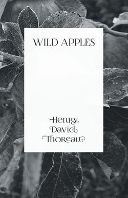 Wild Apples